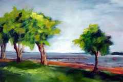 BodenseeSteg-k